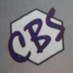 Chinubhai Bhatiya & Sons