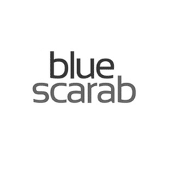Blue Scarab
