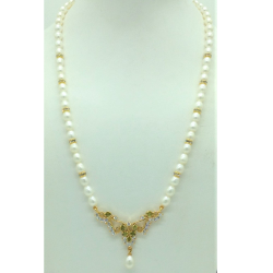 catalogue image