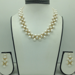 catalogue image