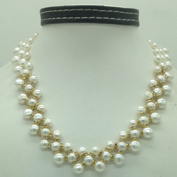 catalogue image