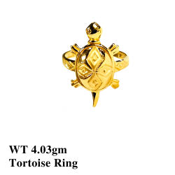 Tortoise Rings by 