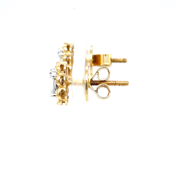catalogue image