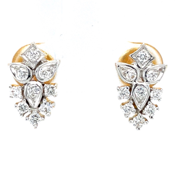 catalogue image