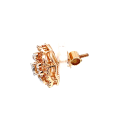 catalogue image