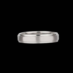 Platinum Simple Ring SCHR190