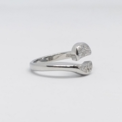 catalogue image