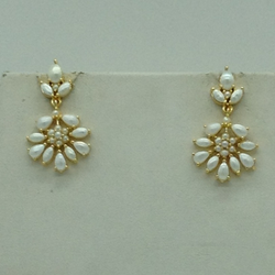 catalogue image
