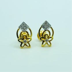 catalogue image