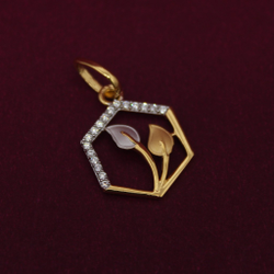 catalogue image
