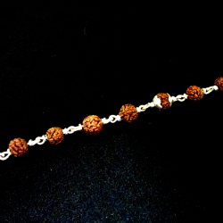 catalogue image