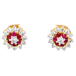 catalogue image