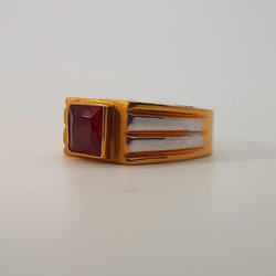 catalogue image