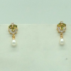 catalogue image