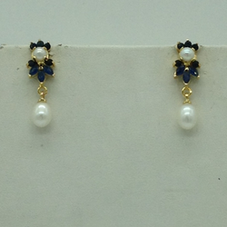 catalogue image