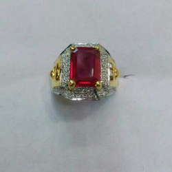 catalogue image