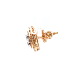 catalogue image