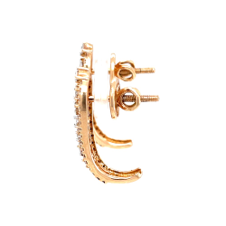 catalogue image