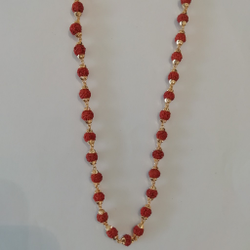 catalogue image