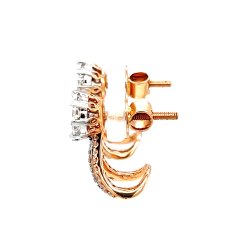 catalogue image
