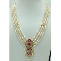 catalogue image