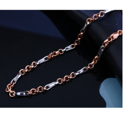 catalogue image