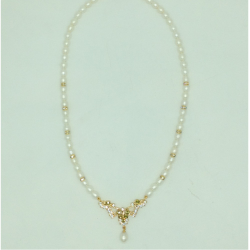 catalogue image