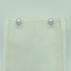 catalogue image