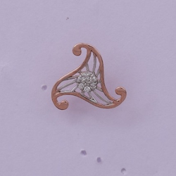 catalogue image