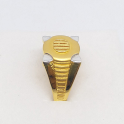 catalogue image