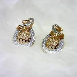 catalogue image