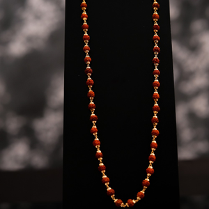 22K RUDRAKSHA MALA