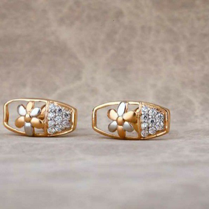 18 Carat Rose Gold Antiq Ladies Earrings RH-L