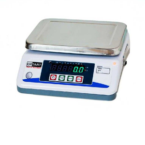 Small Weight Scale