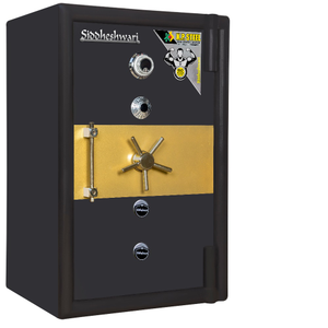 Bullion safe