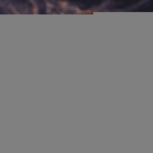 22KT Gold Fancy women's Earring LFE312