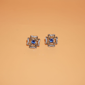 925 Silver Dazzling Earring 199R39