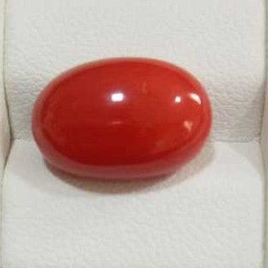 8.09ct oval red red-coral-mungaa