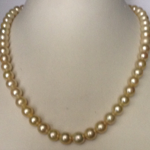 Cream Sea Water Cultured Pearls Strand JPM000