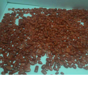 682ct oval red red-coral-mungaa