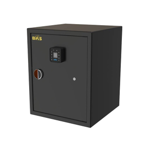 Grand biometric single door jewellery locker