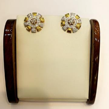 22k gold hallmark Earrings by Shree Godavari Gold Palace