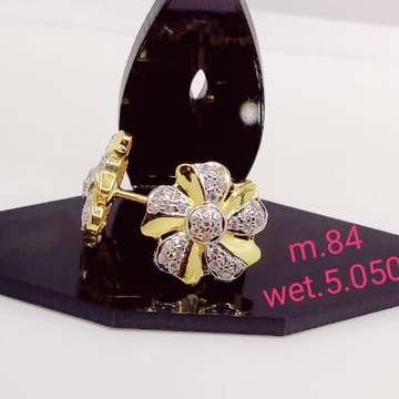 22 carat gold ladies earrings RH-LE803