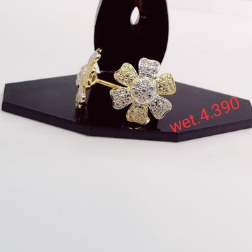22 carat gold ladies earrings RH-LE812