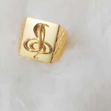 Buy Snake Ring, Gold Snake Ring, 21K Gold Filled Ring, Popular Animal Ring,  Snake Jewelry, Gift Ring, Gift for Her, Open Ring Online in India - Etsy