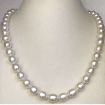 Freshwater white oval pearls strand JPM0098