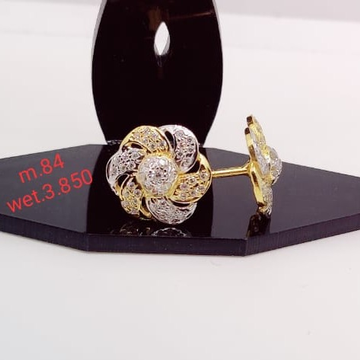 22 carat gold ladies earrings RH-LE810