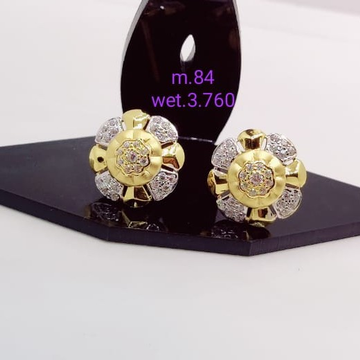 22 carat gold ladies earrings RH-LE811