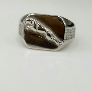 Silver Ring by 