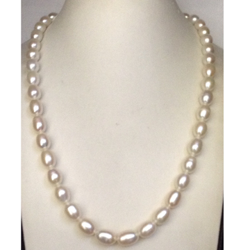 Freshwater white oval pearls strand JPM0100